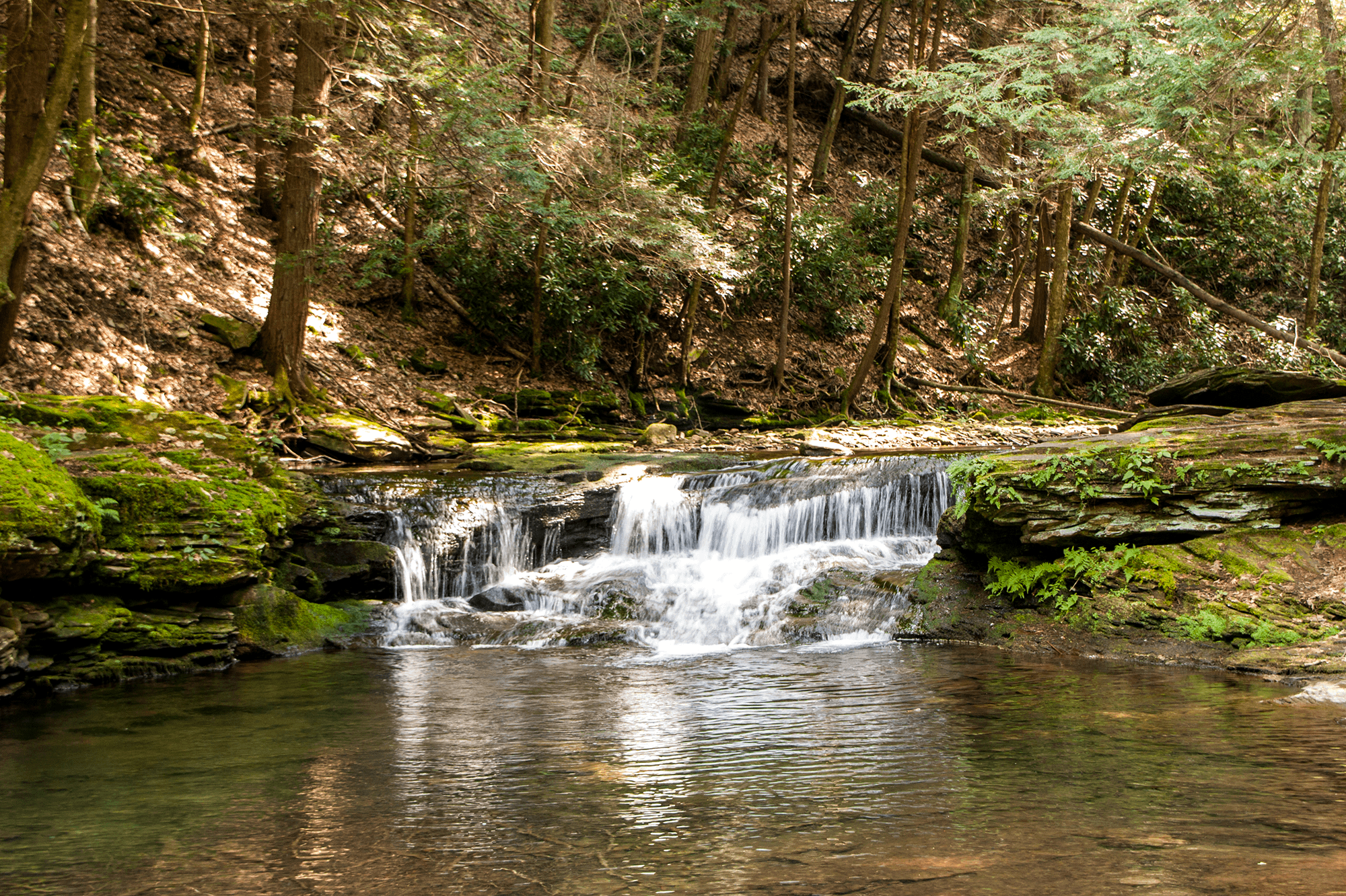 Water Quality